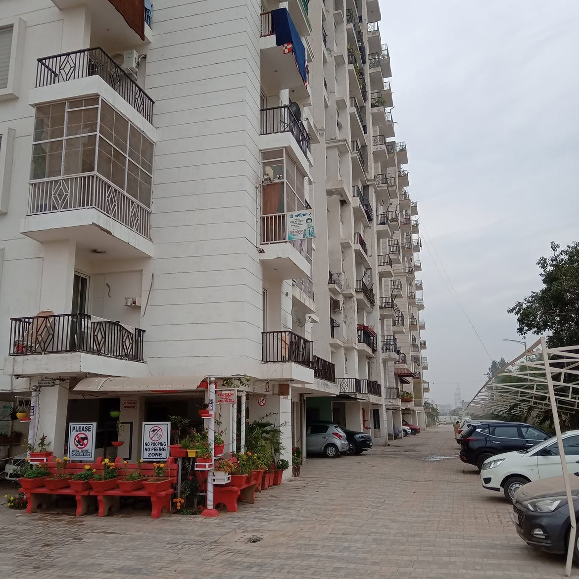 3 BHK Ready to Move Flats in Mona City Homes Mohali | Luxury Apartments