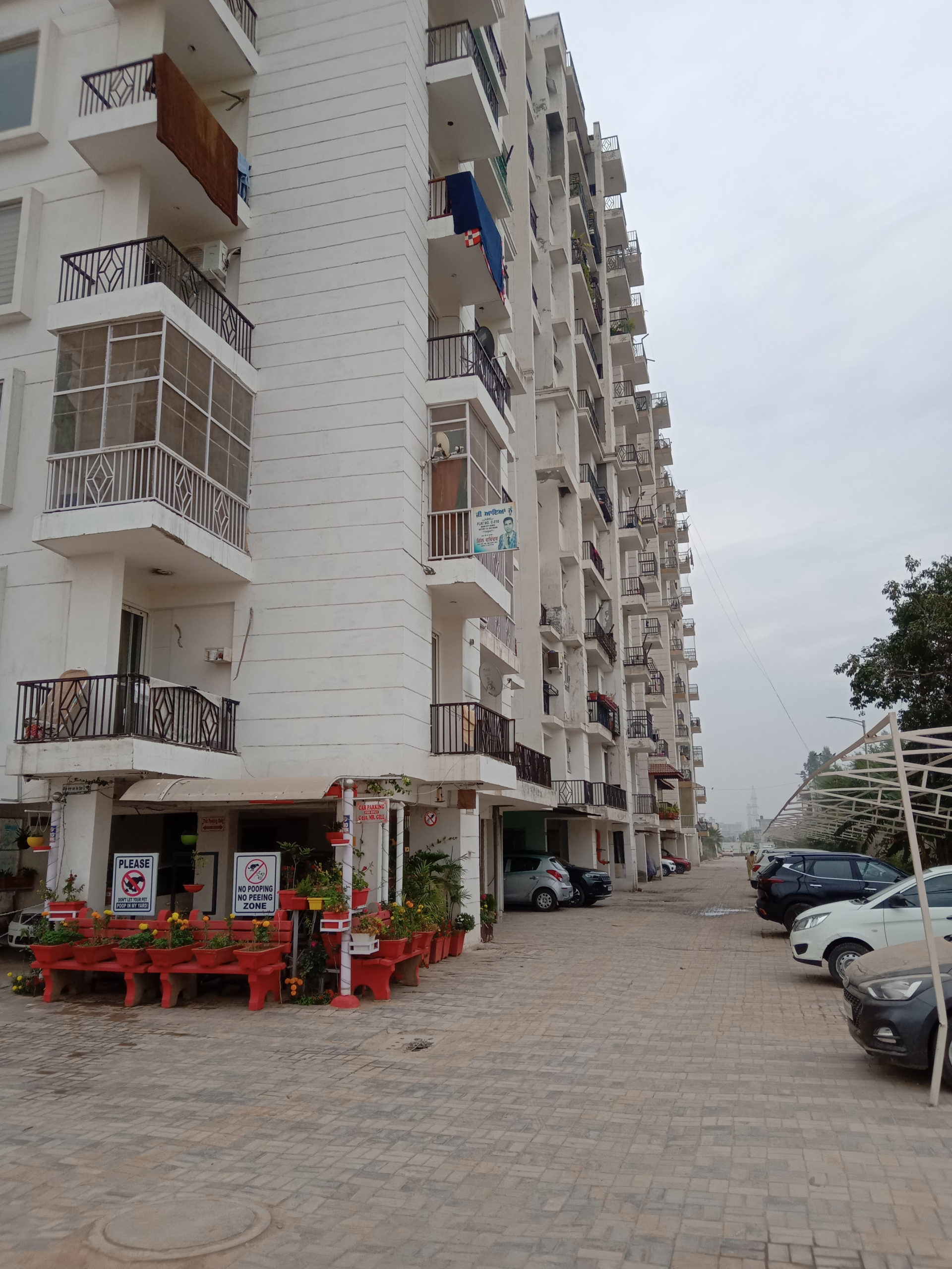 Premium Ready-to-Move Apartments | Mona Cityhomes Mohali